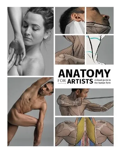 3dtotal Publishing Anatomy for Artists