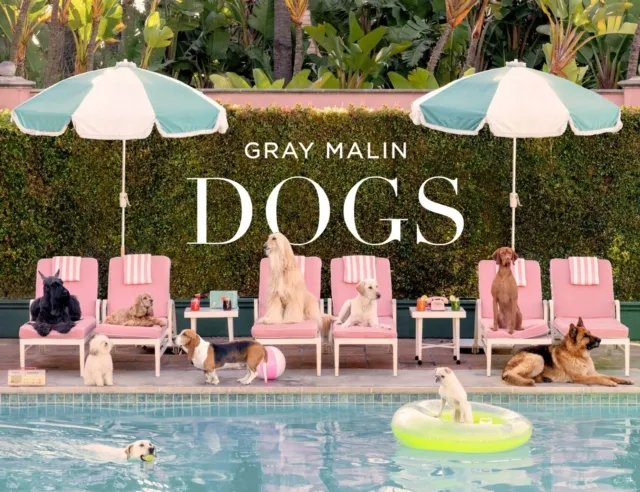 Abrams Gray Malin: Dogs : Photographs