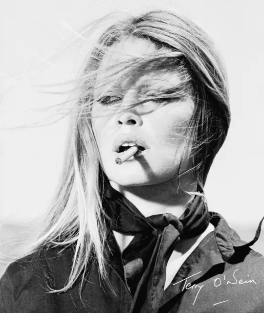 Acc Art Books Terry O'Neill : The Opus