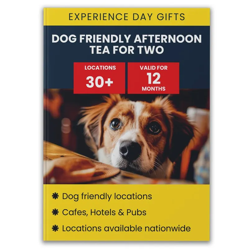 Activity Superstore Dog Friendly Afternoon Tea for Two Gift Experience Multicolor