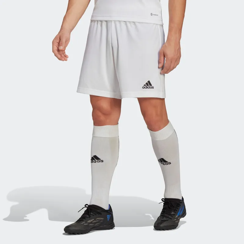 adidas Entrada 22 Shorts