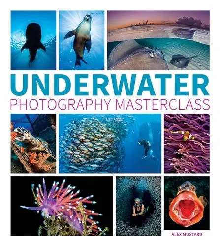 Alex Mustard Underwater Photography Masterclass