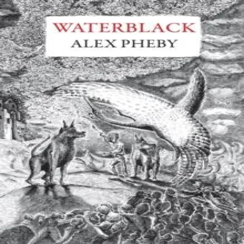 Galley Beggar Press Waterblack