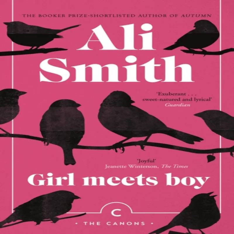 Ali Smith Girl Meets Boy
