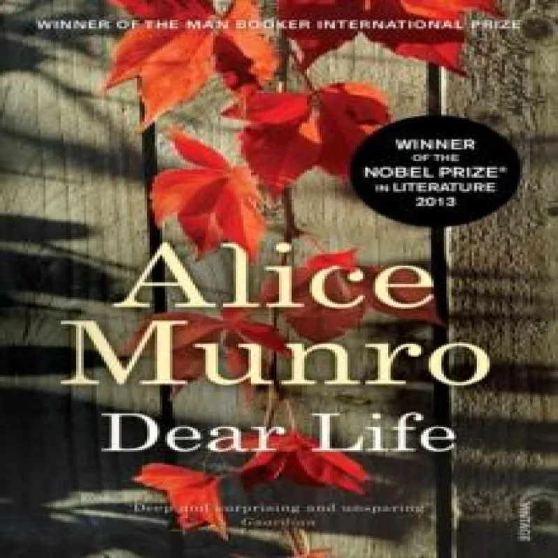 Alice Munro Dear Life Paperback Book Multicolor