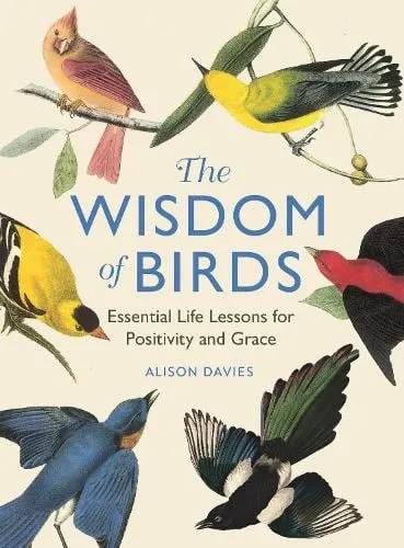 Alison Davies The Wisdom of Birds