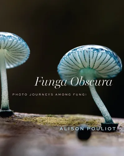Alison Pouliot Funga Obscura