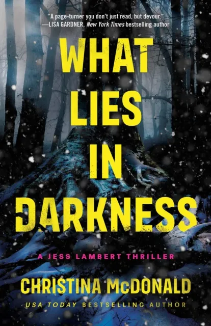 Amazon Publishing What Lies In Darkness