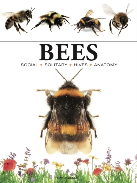 Amber Books Ltd Bees