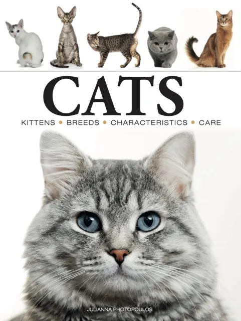 Amber Books Ltd Cats