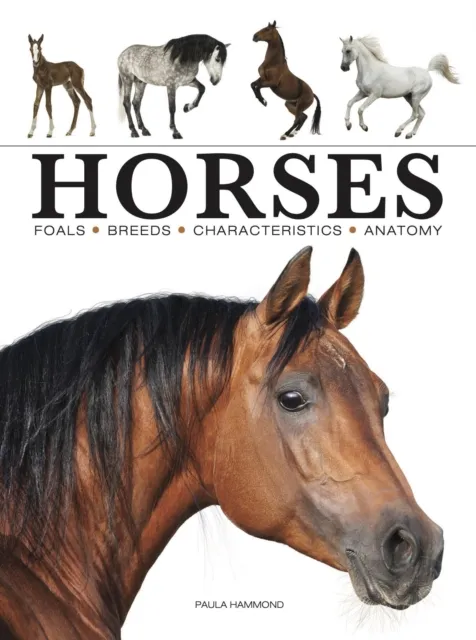 Amber Books Ltd Horses