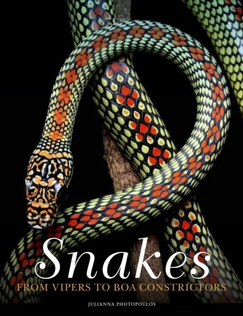 Amber Books Ltd Snakes : From Vipers To Boa Constrictors
