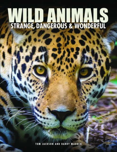 Amber Books Ltd Wild Animals