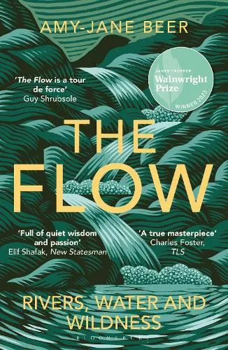 Amy-Jane Beer The Flow