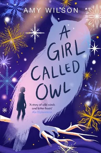 Amy Wilson A Girl Called Owl