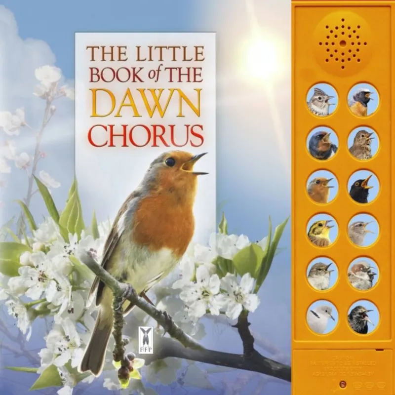 Andrea Pinnington Little Book of the Dawn Chorus Board book Multicolor
