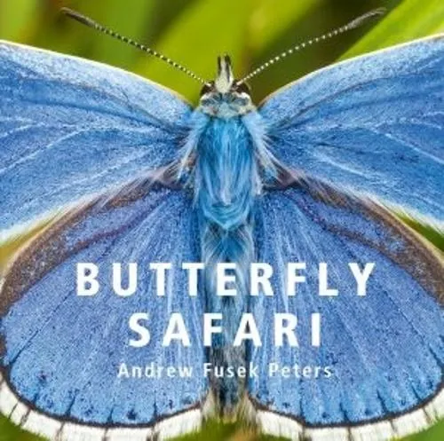 Andrew Fusek Peters Butterfly Safari