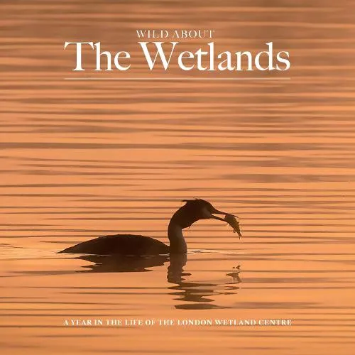 Andrew Wilson Wild about The Wetlands
