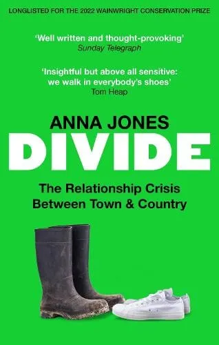 Anna Jones Divide
