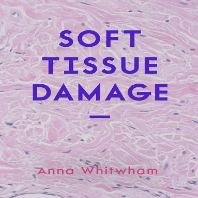 Rough Trade Books Soft Tissue Damage