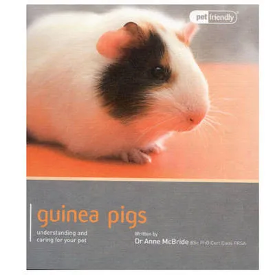 Anne Mcbride Guinea Pig - Pet Friendly