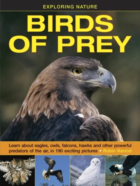 Anness Publishing Exploring Nature: Birds Of Prey