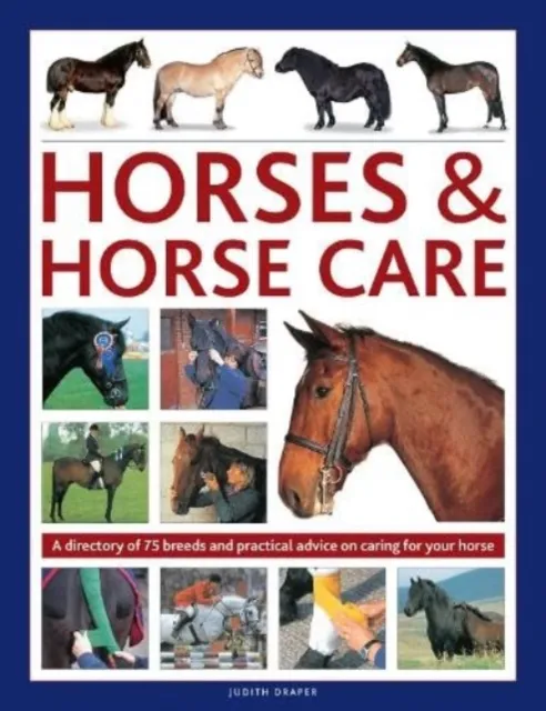 Judith Draper Horses & Horse Care