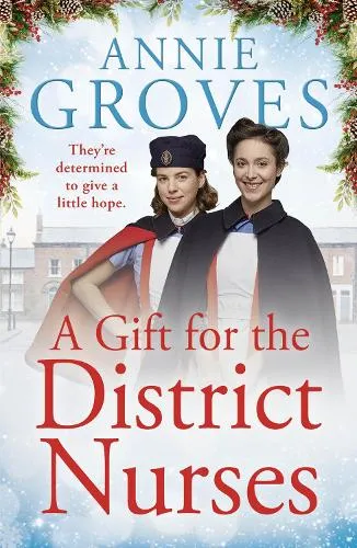 Annie Groves A Gift for the District Nurses