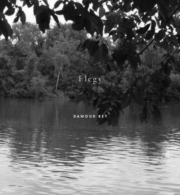 Aperture Dawoud Bey: Elegy