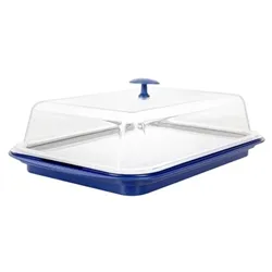 Aps Cooling Display Tray and Cover