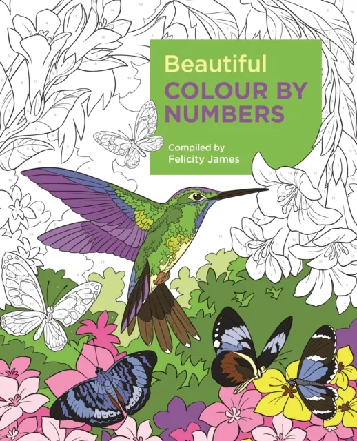 Arcturus Publishing Ltd Beautiful Colour By Numbers