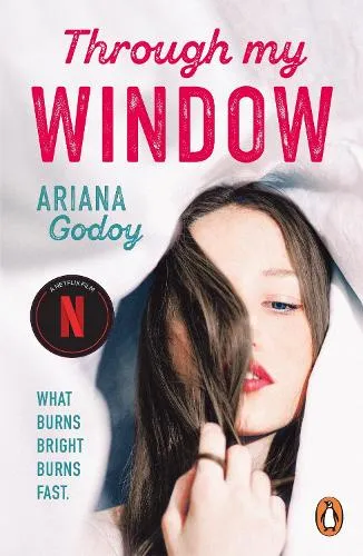Ariana Godoy Through My Window