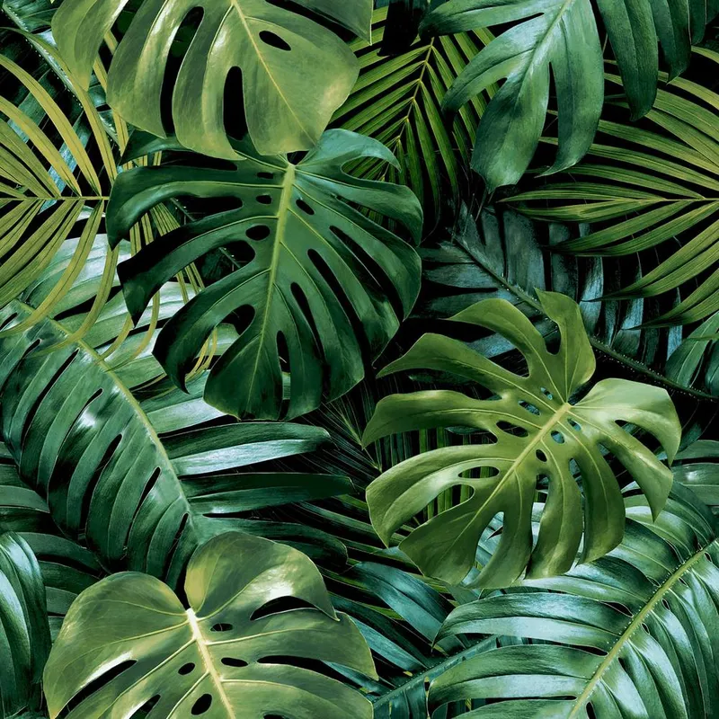 Arthouse Living Wall Wallpaper in Dark Green Dark Green