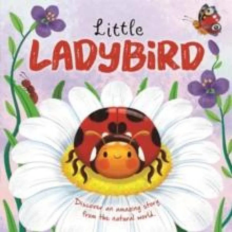 Bonnier Books Ltd Little Ladybird