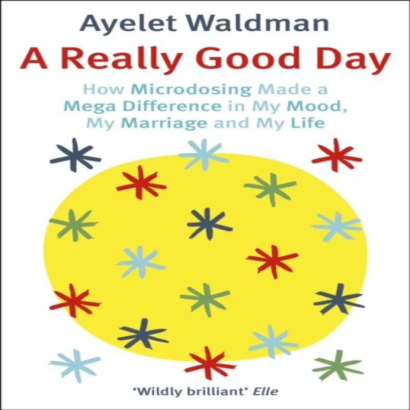 Ayelet Waldman Really Good Day Paperback Book Multicolor