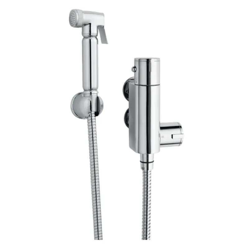 Balterley Round Thermostatic Douche Spray Kit Chrome in Silver Silver