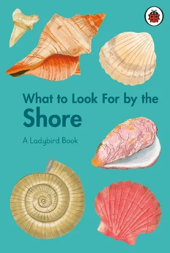 Becky Brown What to Look For by the Shore