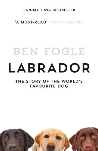 Ben Fogle Labrador