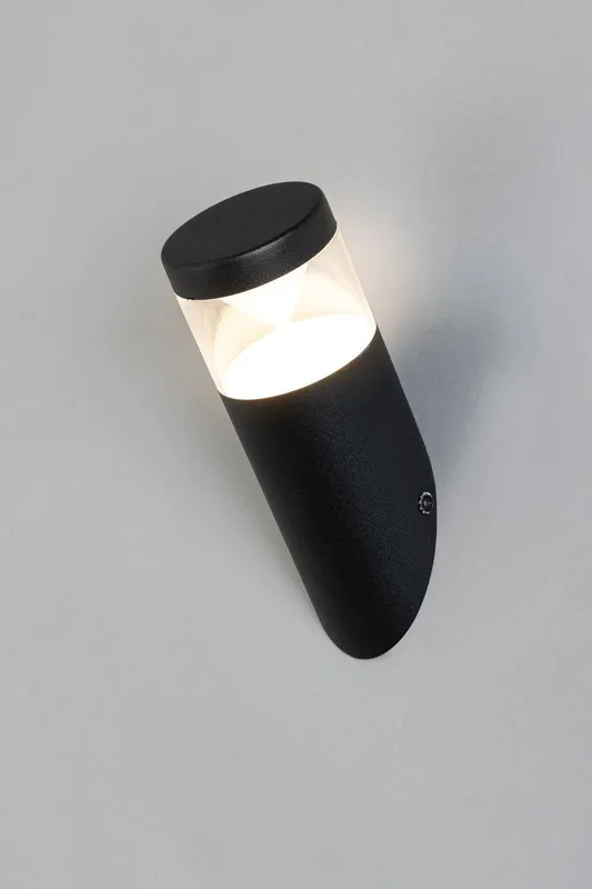 Bhs Lighting Asher Outdoor Wall Light in Black Black