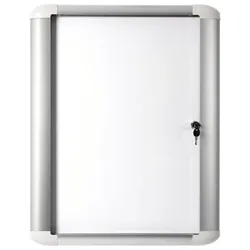 Bi-Office Mastervision Outdoor Swing Display Case