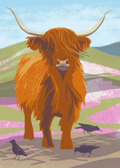 Birlinn General Nature Notebook: Highland Cow