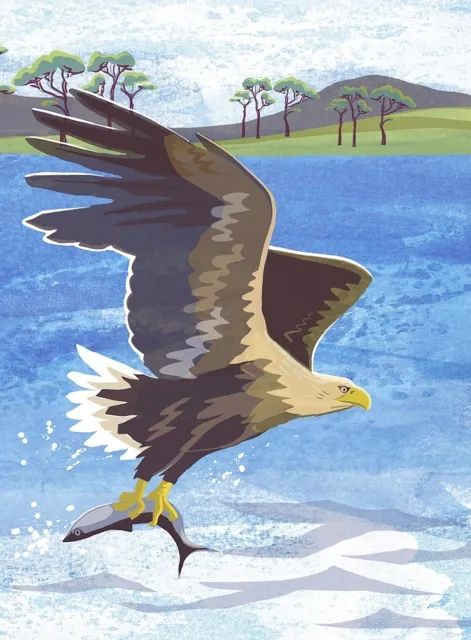 Birlinn General Nature Notebook: Sea Eagle