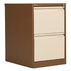 2 Drawer Foolscap Filing Cabinet Cream Bisley