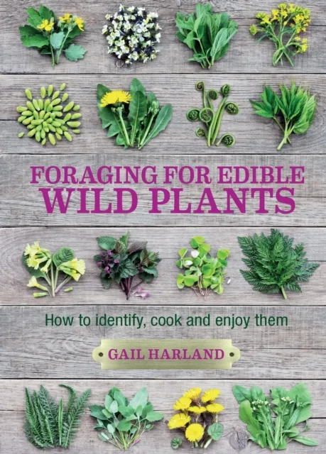 Bloomsbury Publishing Plc Foraging For Edible Wild Plants : How To Identify, Cook And Enjoy Them