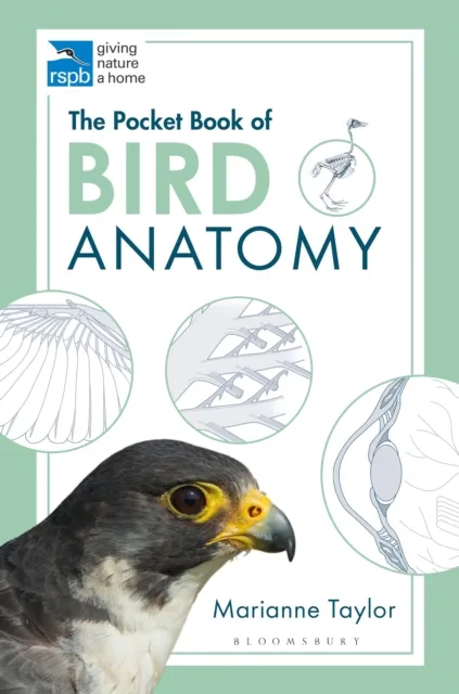 Marianne Taylor The Pocket Book of Bird Anatomy