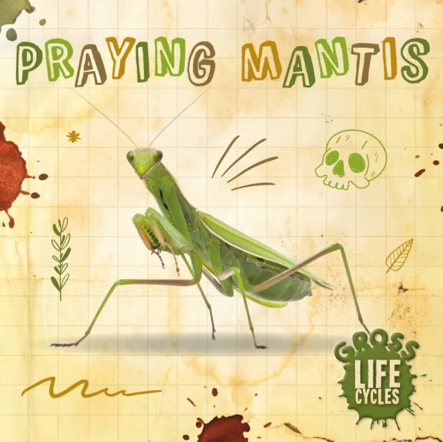 William Anthony Praying Mantis Hardback Book Multicolor