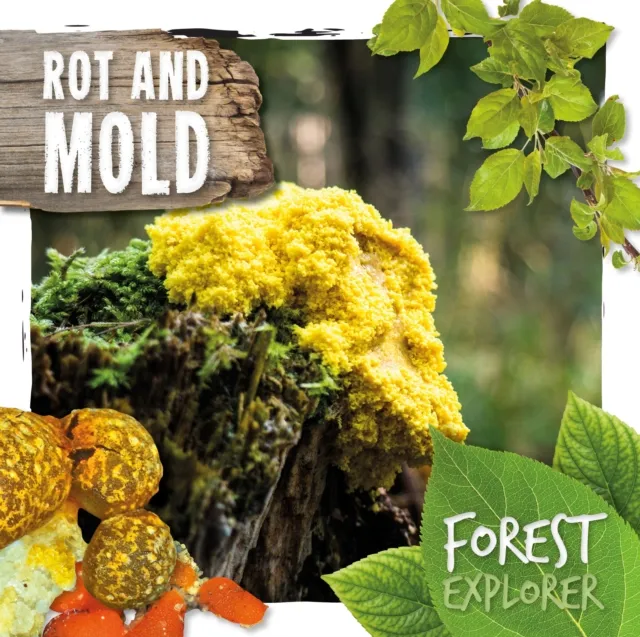 BookLife Publishing Rot & Mould