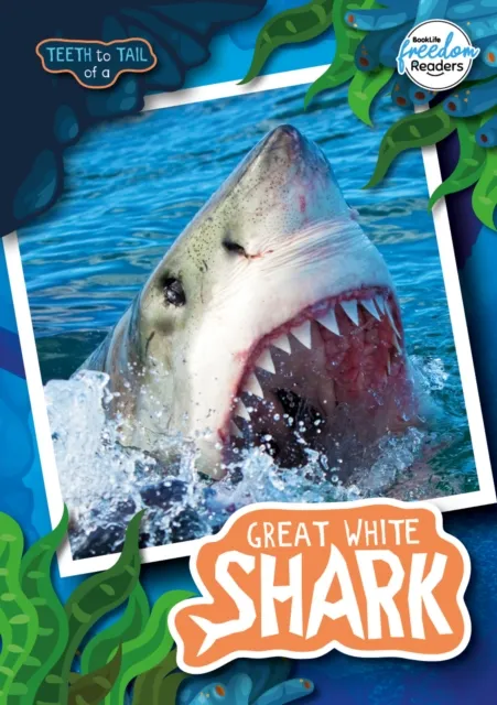 BookLife Publishing Teeth To Tail Of A Great White Shark