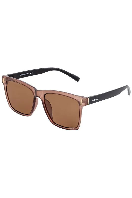 Breed Men's Pictor Polarized Sunglasses in Brown Brown One Size