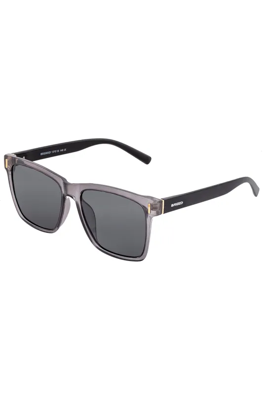Breed Pictor Polarized Sunglasses - - Size: Onesize